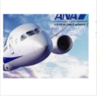 Introducerea ANA All Nippon Airways