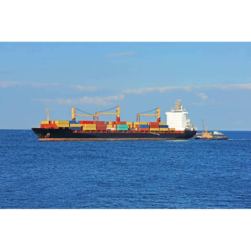 Care sunt caracteristicile transportului de marfă pe mare în transmiterea de marfă?